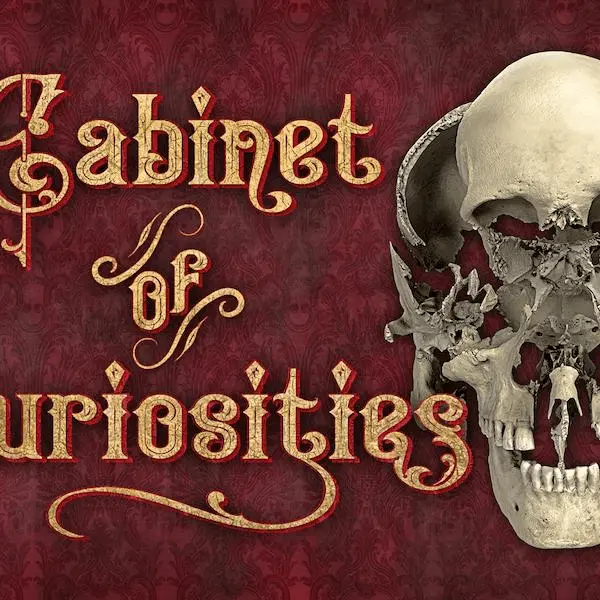 Cabinet of Curiosities