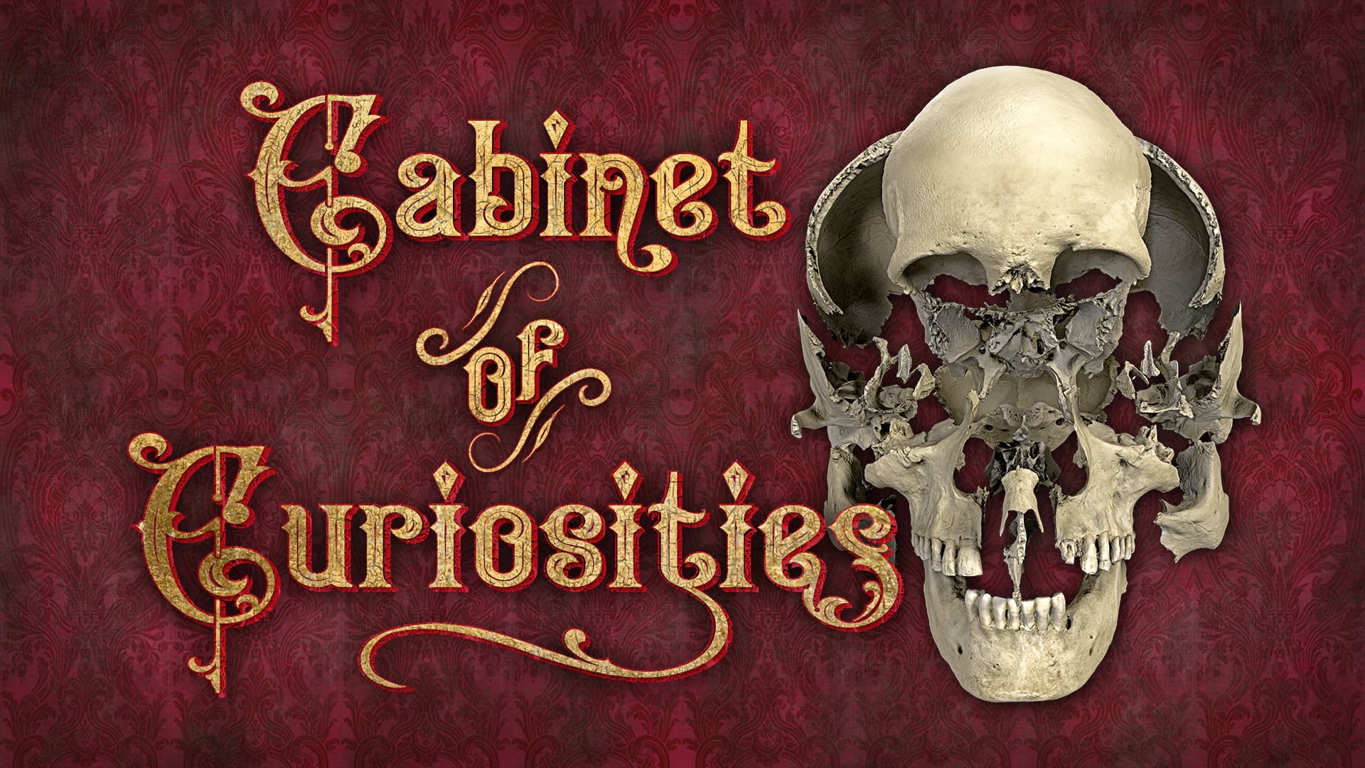 Cabinet of Curiosities